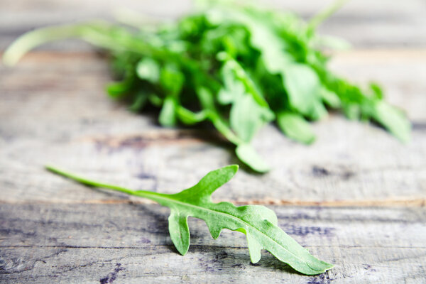 Bunch of fresh arugula leaves