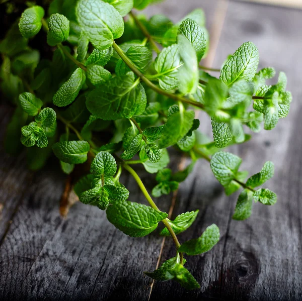 Menta de pimenta no fundo de madeira velha — Fotografia de Stock