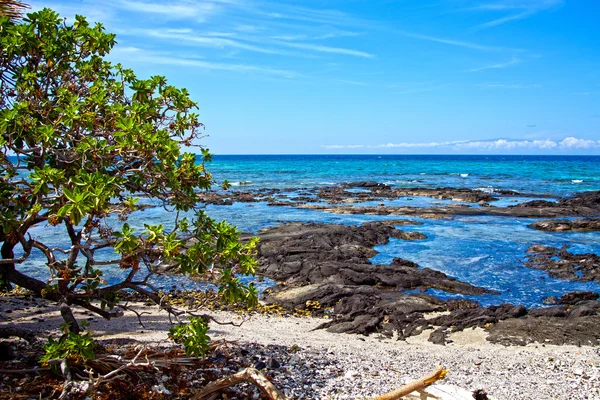 Puako Hawaii Imágenes de stock libres de derechos