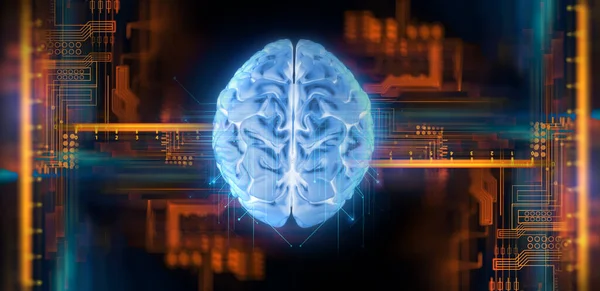 3d rendering of artificial brain and  microchip ,concept of neural network and relationship between human brain and microchip