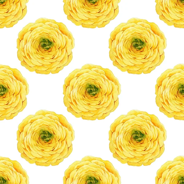 Padrão floral sem costura com copos de manteiga — Fotografia de Stock