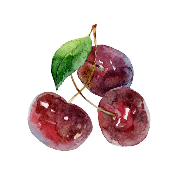 Три ягоды вишни на белом фоне — стоковое фото