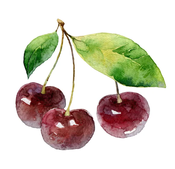 Three cherry berries on white background — Stock Photo, Image