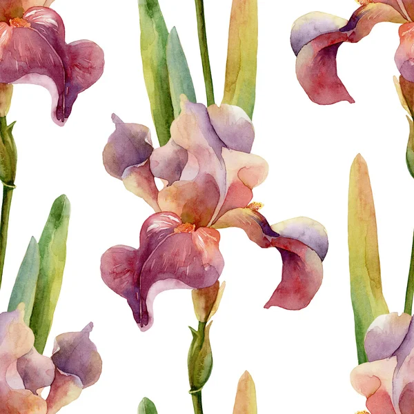 Seamless floral pattern with iris — Stock Photo, Image