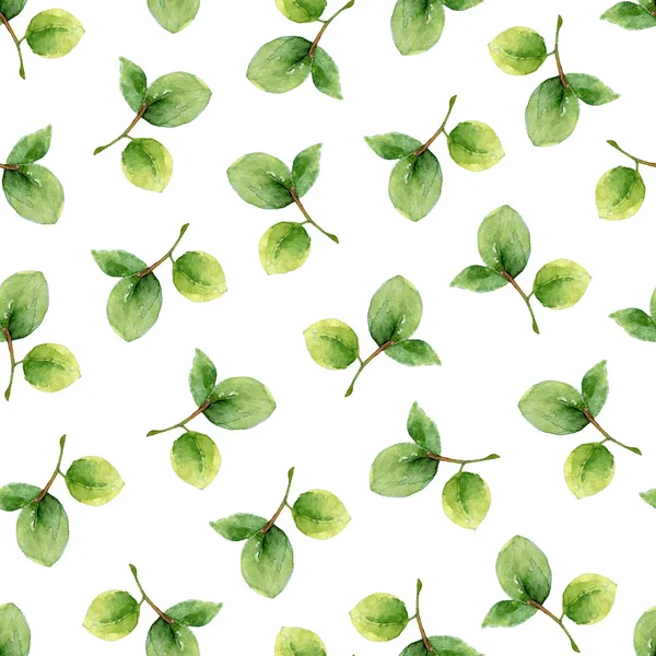 Seamless pattern with green leaves — Stock Photo, Image