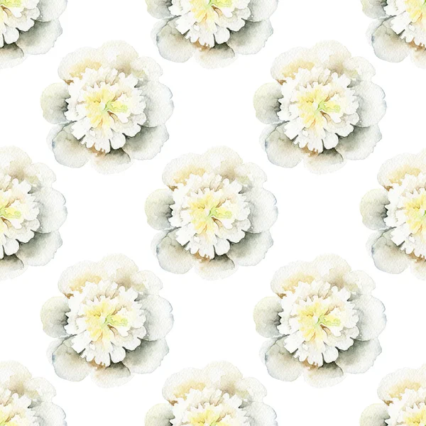 모란와 함께 완벽 한 꽃 패턴 — 스톡 사진