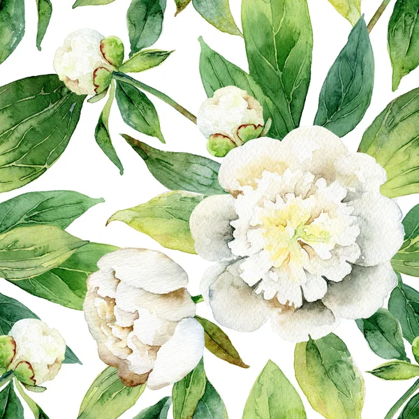 Peonies ile sorunsuz çiçek desenli — Stok fotoğraf