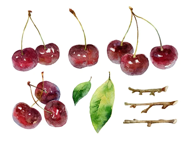 Cherries on white background — Stock Photo, Image