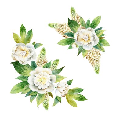 Beyaz peonies ve lupine suluboya çiçek kompozisyonu