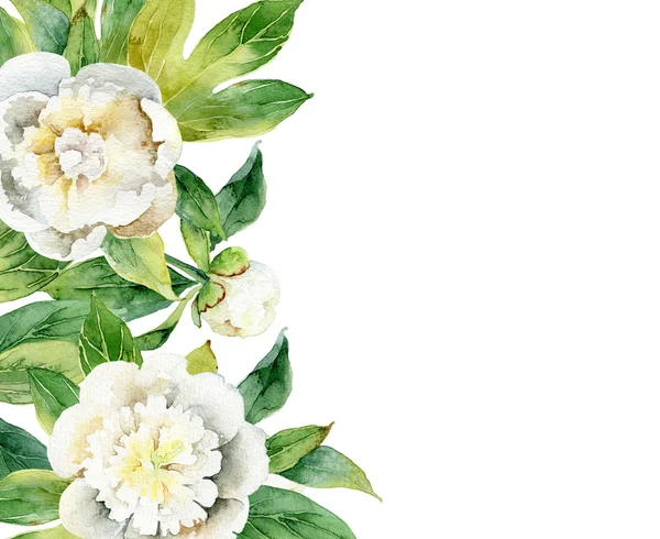 Aquarell-Komposition mit weißen Pfingstrosen und Blättern — Stockfoto
