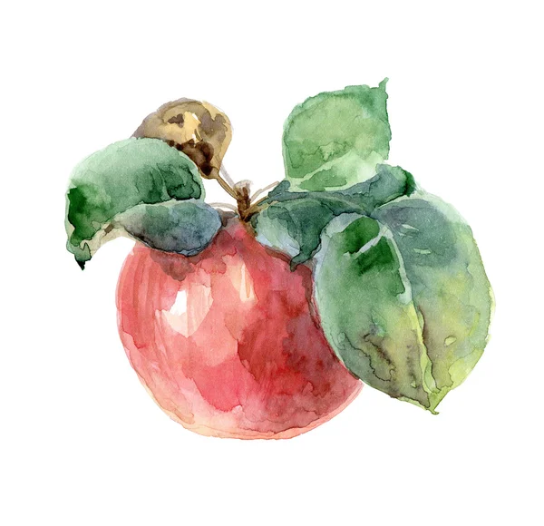 Ενιαίο κόκκινο μήλο ακουαρέλα — Φωτογραφία Αρχείου