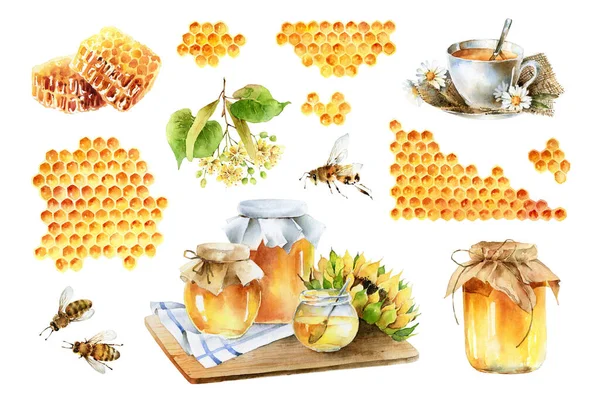蜂蜜をテーマにした大きな水彩画 — ストック写真