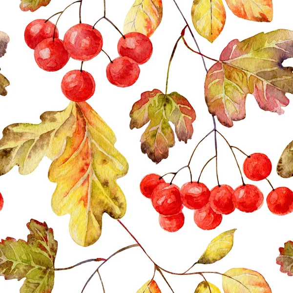 Autumn seamless pattern — Stock Photo, Image