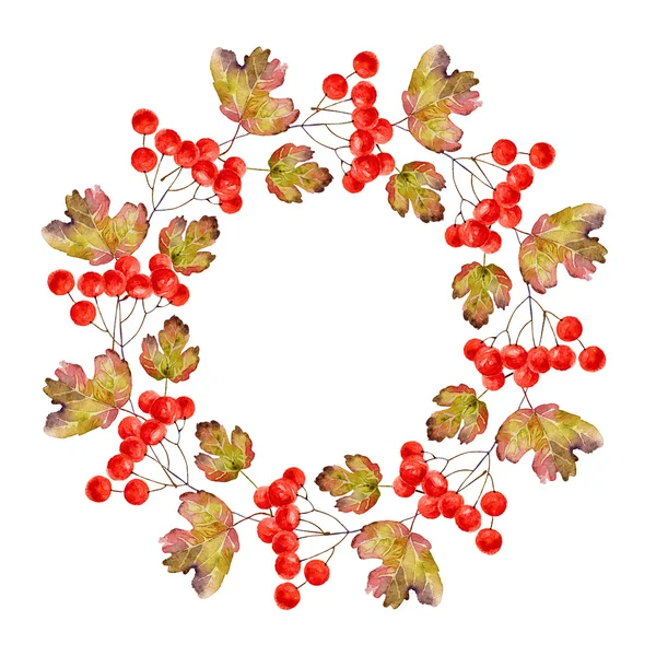 Wreath of viburnum — Stock Photo, Image