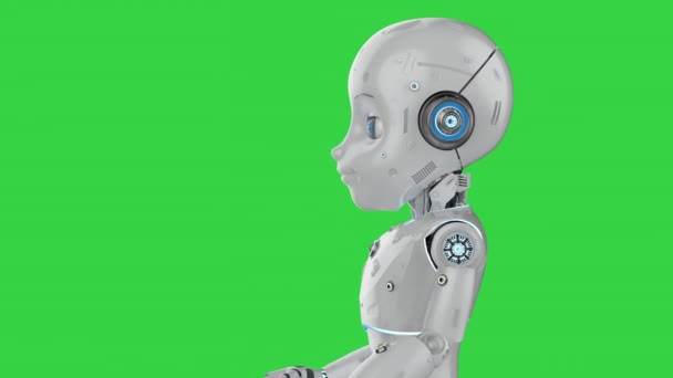 Netter Roboter mit Cartoon-Figur auf grünem Bildschirm — Stockvideo