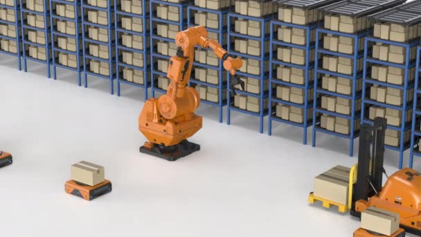 Automatyczny magazyn z robotem — Wideo stockowe