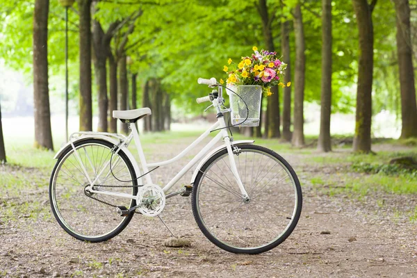 Oldtimer-Fahrrad mit Blumen im Korb im Park — Stockfoto