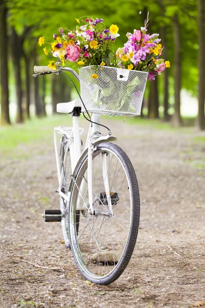 公園でバスケットの花とヴィンテージ自転車 — ストック写真