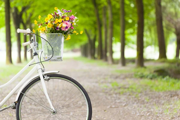 Винтажный велосипед с цветами в корзине в парке — стоковое фото