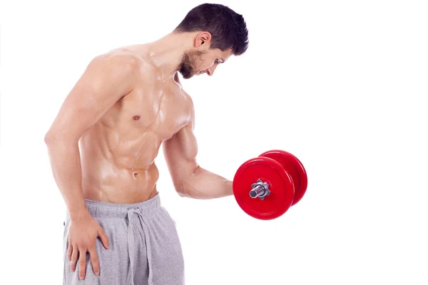 Uomo muscolare sollevamento manubri su uno sfondo bianco — Foto Stock