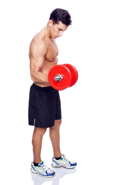 Fitness man lifting dumbbells on a white background — Stock Photo, Image