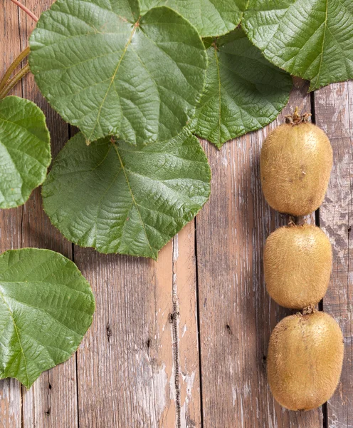 Kiwi på trä bakgrund — Stockfoto