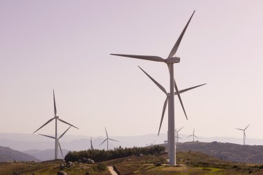 Windfarm, yel değirmenleri