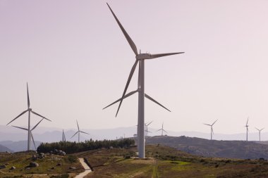 Windfarm, yel değirmenleri
