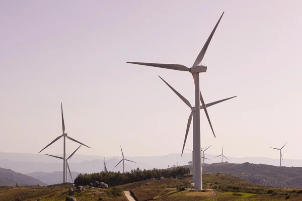 Moinhos de vento no parque eólico — Fotografia de Stock