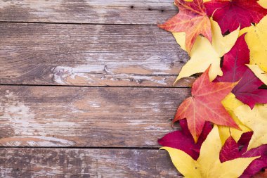 ahşap arka plan üzerinde bırakır