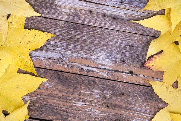 木製の背景上の葉 — ストック写真