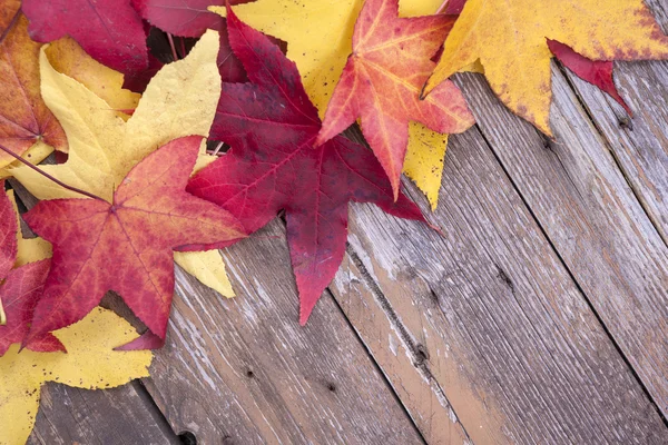 Hojas sobre fondo de madera — Foto de Stock