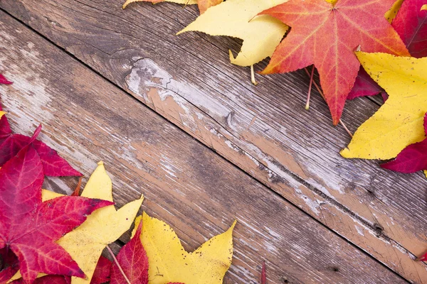 Hojas sobre fondo de madera — Foto de Stock