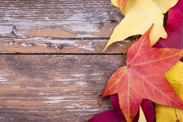 Hojas de otoño sobre fondo de madera envejecida — Foto de Stock