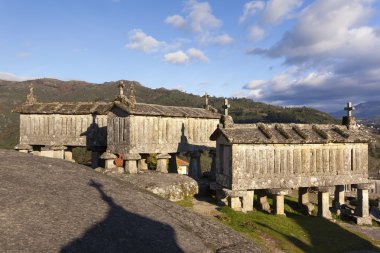 Portekiz Mısır kurutucular