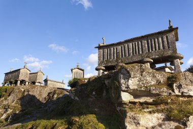 Portekiz Mısır kurutucular