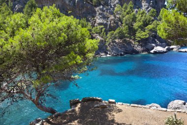 Güzel turkuaz defne adasında Mallorca, İspanya