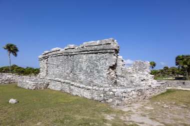 antik kalıntıları: tulum