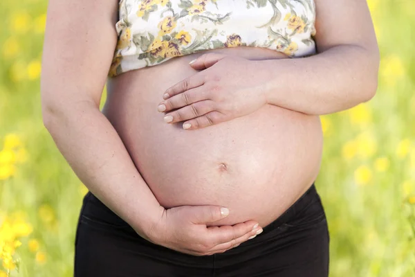 Gravid kvinne som holder magen – stockfoto