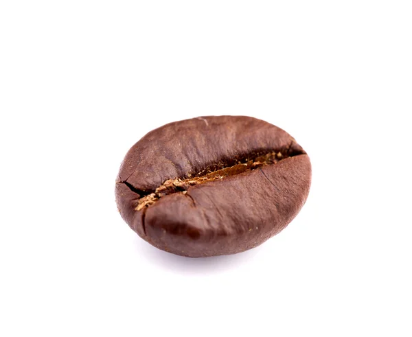 Coffee bean — Stock Photo, Image