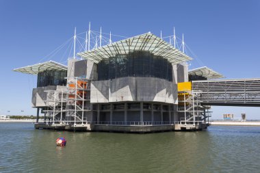 The Lisbon Oceanarium in Portugal clipart