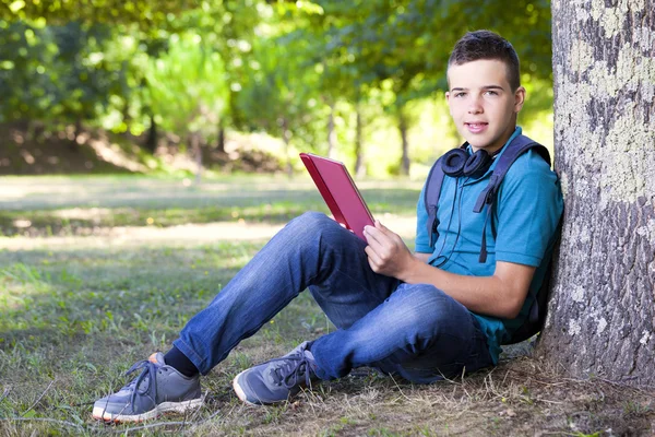 Rapaz inteligente usando um tablet — Fotografia de Stock