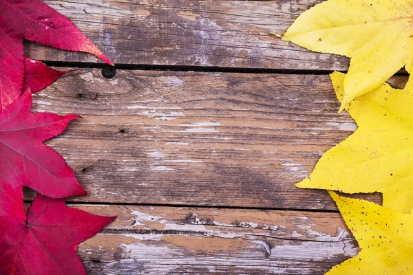 Feuilles sur fond en bois — Photo