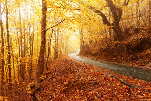 Autumn landscape with road — Stock Photo, Image