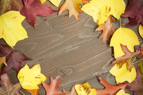 Farbige Blätter auf Holzbrett — Stockfoto