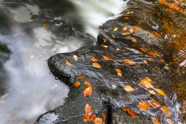 Řeka v podzimní sezóně v národním parku Geres — Stock fotografie