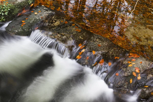 Řeka v podzimní sezóně v národním parku Geres — Stock fotografie