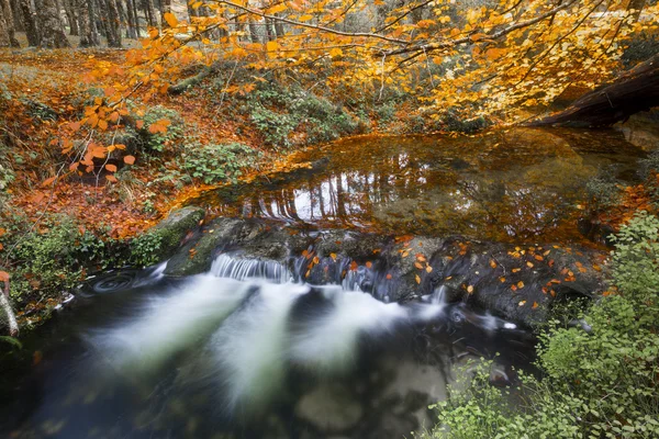 Fluss im Herbst im Nationalpark Geres — Stockfoto
