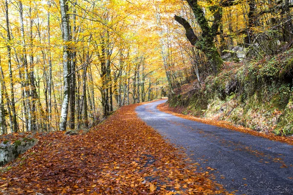 Autumn landscape at Geres National Park — Stock Photo, Image