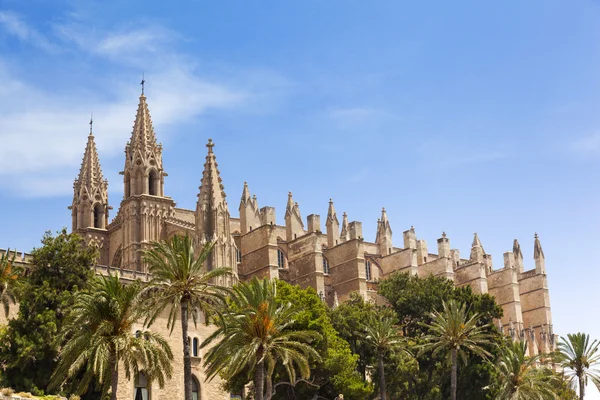 Palma de Mallorcas katedral — Stockfoto